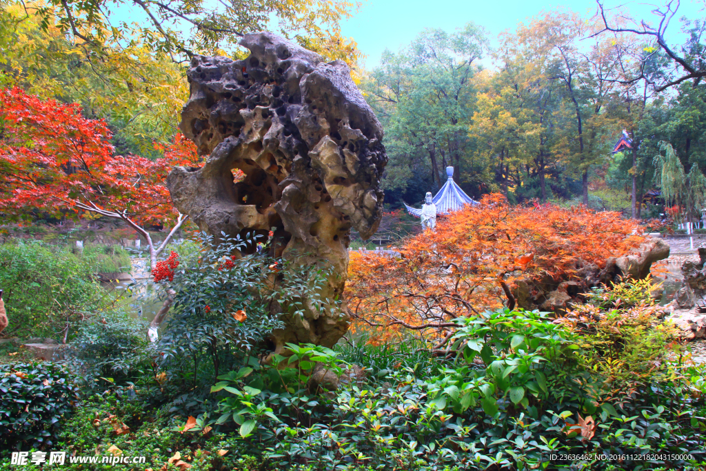 栖霞山红叶 栖霞古寺