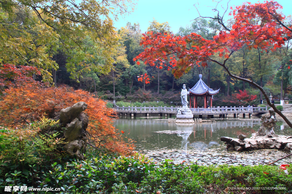 栖霞山红叶 栖霞古寺