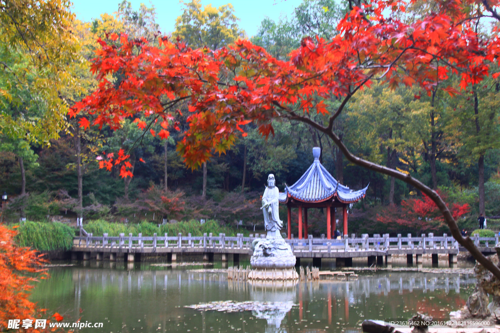 栖霞山红叶 栖霞古寺