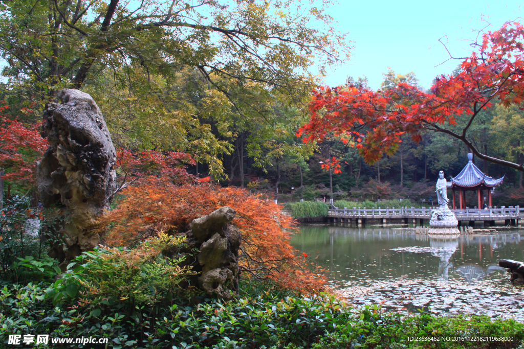 栖霞山红叶 栖霞古寺