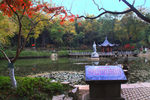 栖霞山红叶 栖霞古寺