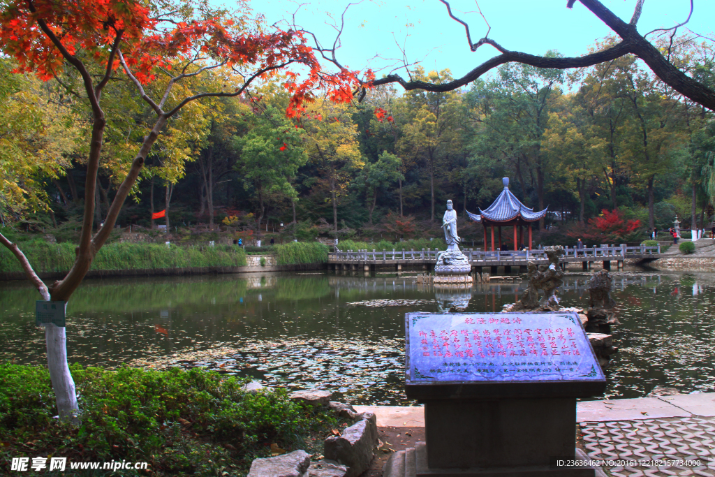 栖霞山红叶 栖霞古寺