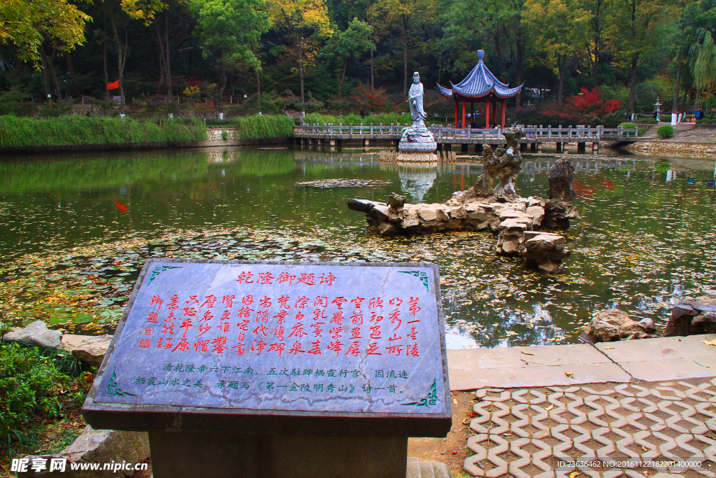 栖霞山红叶 栖霞古寺