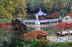 栖霞山红叶 栖霞古寺