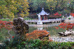 栖霞山红叶 栖霞古寺