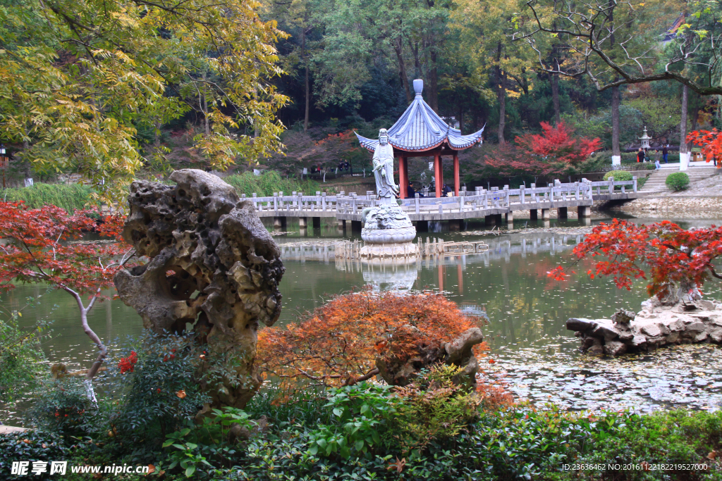 栖霞山红叶 栖霞古寺