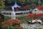 栖霞山红叶 栖霞古寺