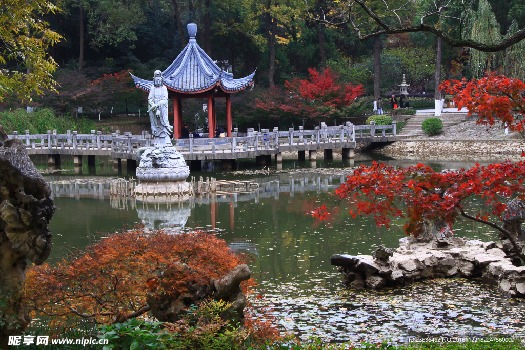 栖霞山红叶 栖霞古寺
