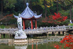 栖霞山红叶 栖霞古寺