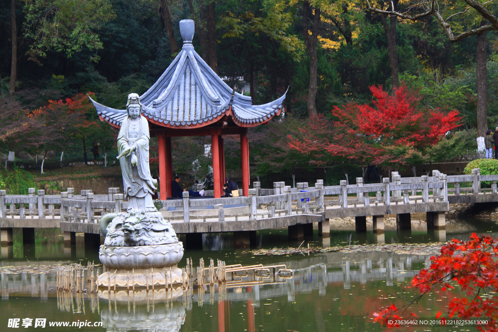 栖霞山红叶 栖霞古寺