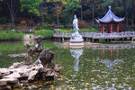 栖霞山红叶 栖霞古寺