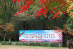 栖霞山红叶 栖霞古寺