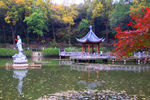 栖霞山红叶 栖霞古寺