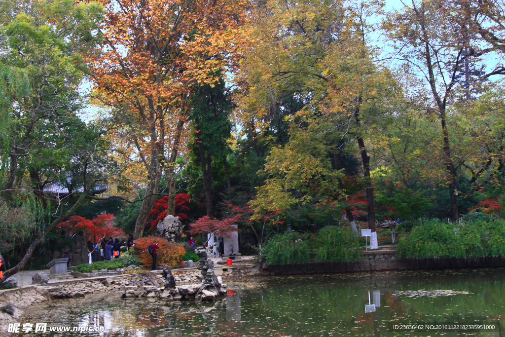 栖霞山红叶 栖霞古寺