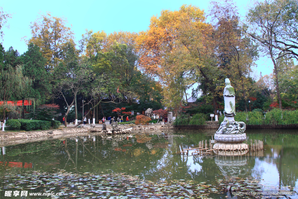 栖霞山红叶 栖霞古寺