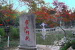 栖霞山红叶 栖霞古寺