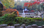 栖霞山红叶 栖霞古寺