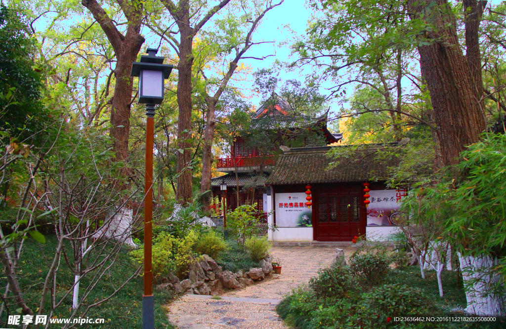 栖霞山红叶 栖霞古寺