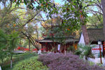 栖霞山红叶 栖霞古寺
