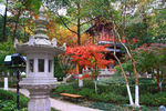 栖霞山红叶 栖霞古寺