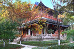 栖霞山红叶 栖霞古寺