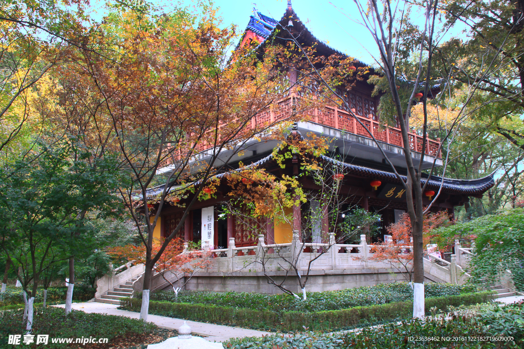 栖霞山红叶 栖霞古寺