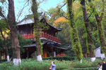 栖霞山红叶 栖霞古寺