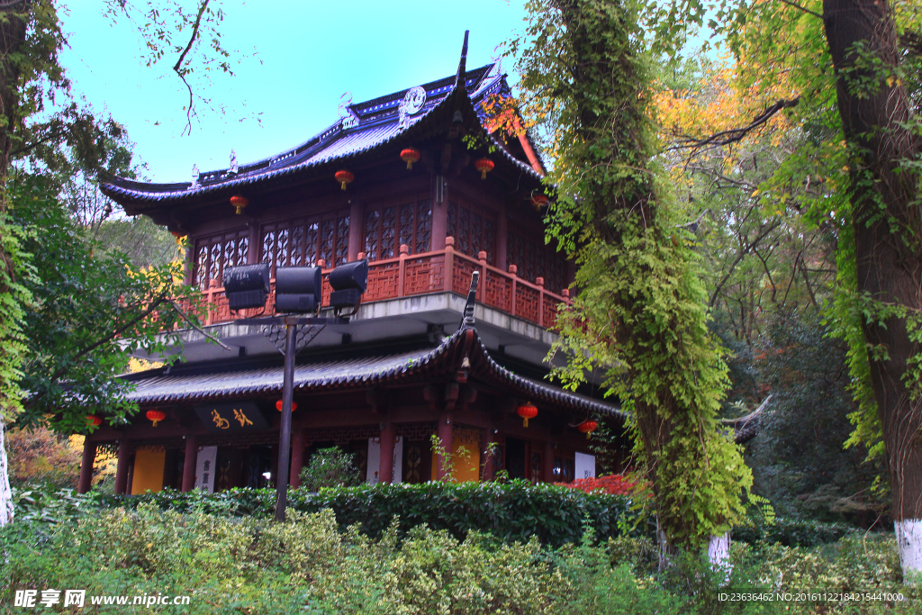 栖霞山红叶 栖霞古寺