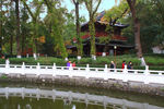 栖霞山红叶 栖霞古寺 秋天