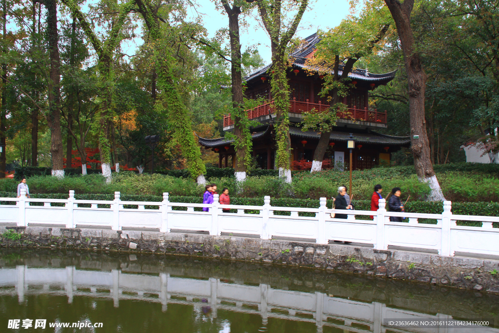 栖霞山红叶 栖霞古寺 秋天