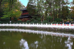 栖霞山红叶 栖霞古寺