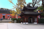 栖霞山红叶 栖霞古寺