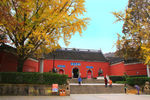 栖霞山红叶 栖霞古寺