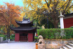 栖霞山红叶 栖霞古寺