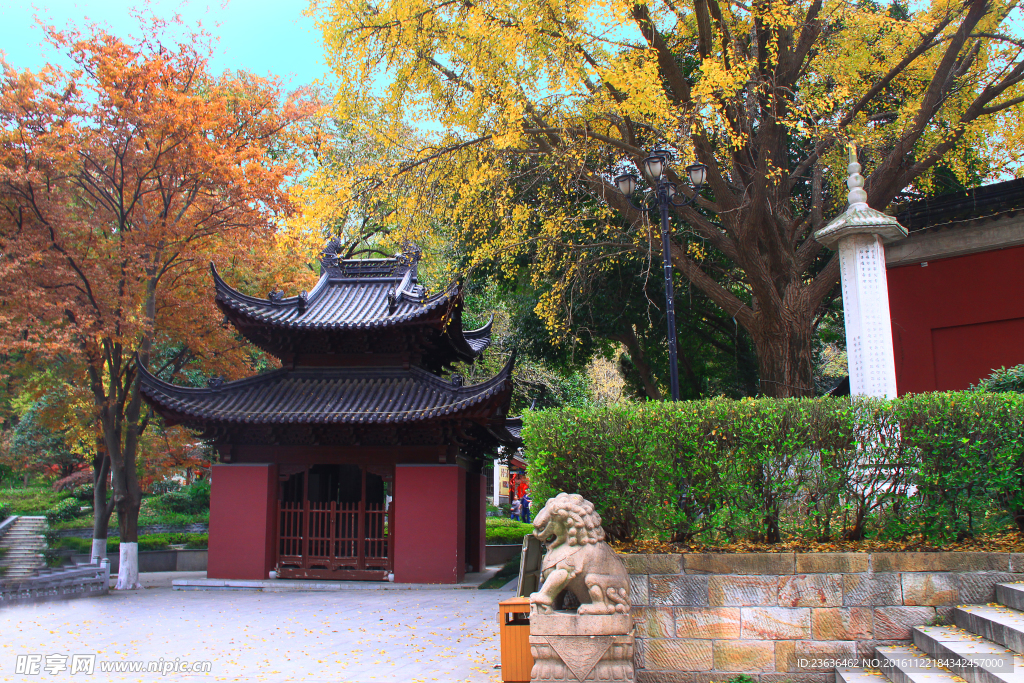 栖霞山红叶 栖霞古寺