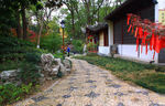 栖霞山红叶 栖霞古寺