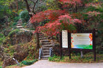 栖霞山红叶 栖霞古寺