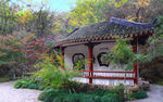 栖霞山红叶 栖霞古寺