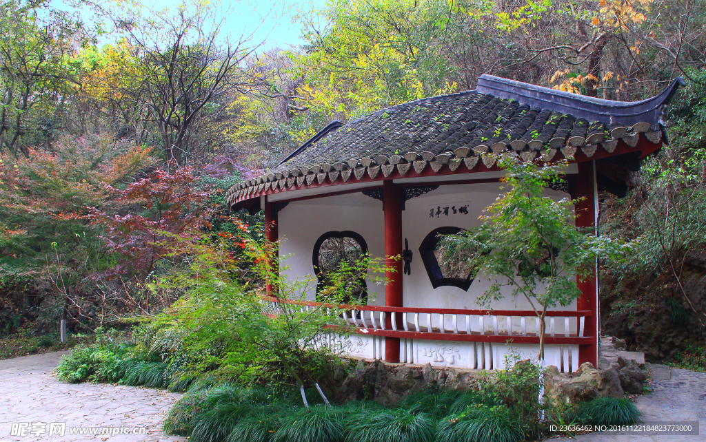 栖霞山红叶 栖霞古寺