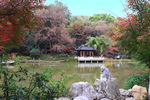 栖霞山红叶 栖霞古寺