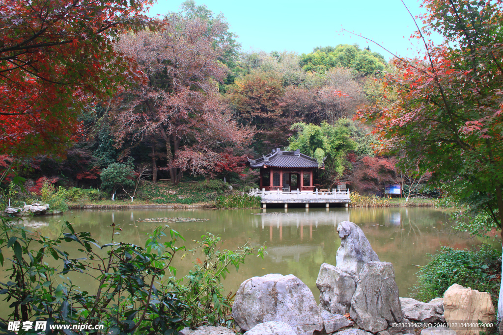 栖霞山红叶 栖霞古寺