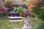 栖霞山红叶 栖霞古寺