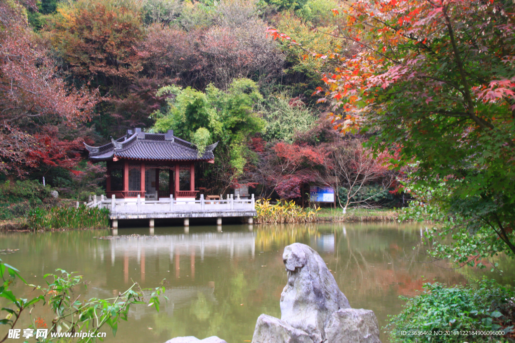 栖霞山红叶 栖霞古寺