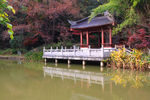 栖霞山红叶 栖霞古寺