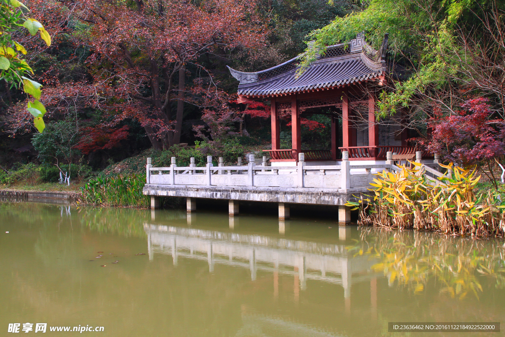 栖霞山红叶 栖霞古寺