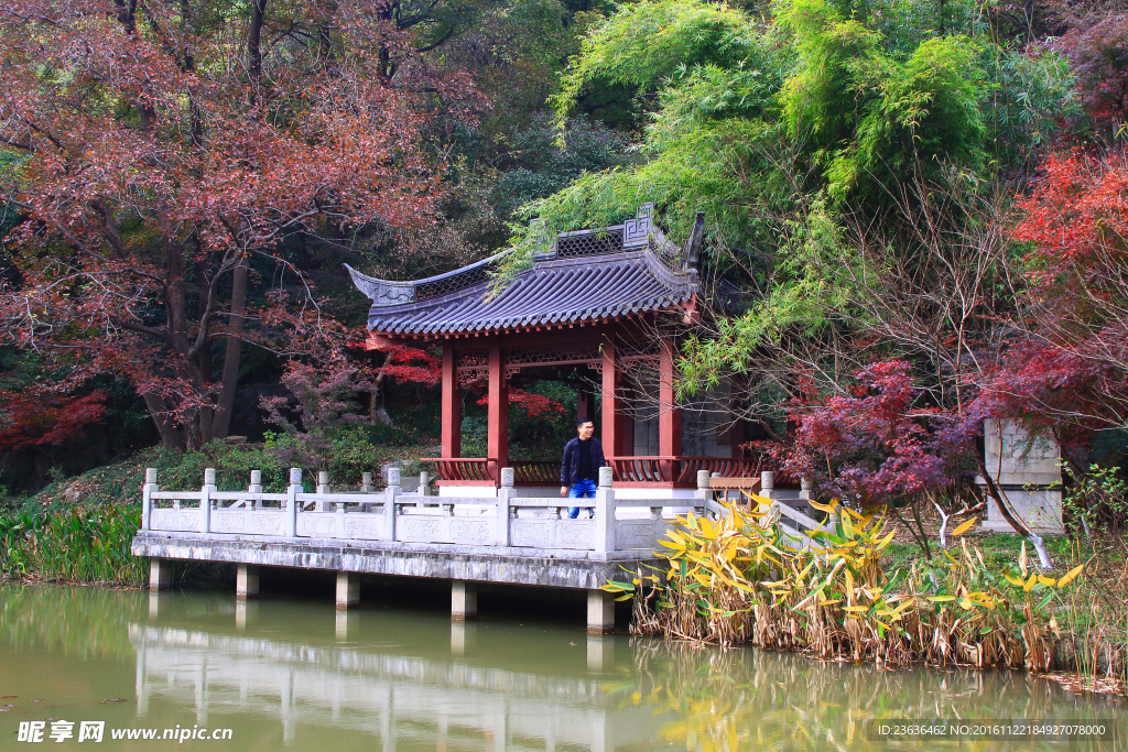 栖霞山红叶 栖霞古寺