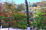 栖霞山红叶 栖霞古寺