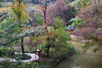 栖霞山红叶 栖霞古寺