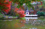 栖霞山红叶 栖霞古寺