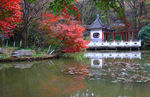 栖霞山红叶 栖霞古寺
